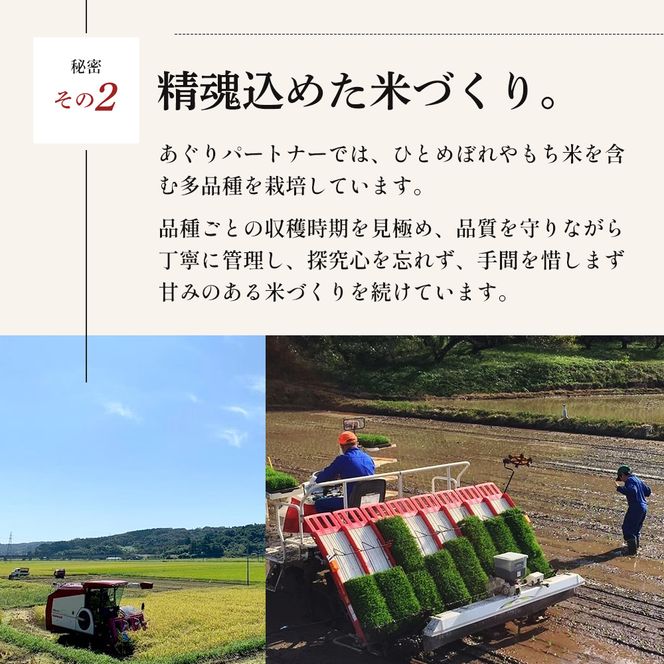 令和8年産 新米 ひとめぼれ 10kg ( 5kg × 2袋 ) 3ヵ月 定期便 先行予約 米 お米 白米 精米 こめ コメ 令和8年 宮城県産