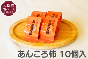 大槌銘菓 あんころ柿（10個）