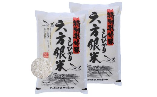 令和7年産 減農薬米 特別栽培米 六方銀米 コシヒカリ 10kg （5kg×2袋）/ 減農薬 米  お米 10キロ 精米 白米 コウノトリ米 コメ こめ ご飯 ライス こしひかり 兵庫県産
