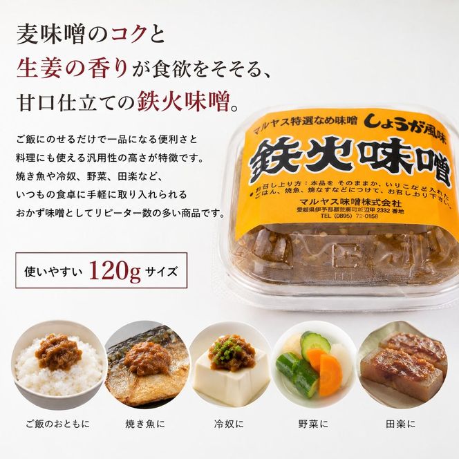鉄火みそ120g 4パック 味噌 おかず味噌 はだか麦 生姜 しょうが 国産 甘口 老舗 発酵食品 健康 国産 無添加 老舗 人気 おすすめ 調味料 田楽 発酵食品 ギフト 贈答 愛媛県 愛南町 マルヤス味噌