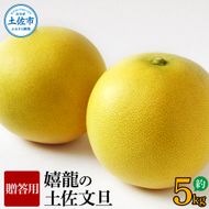 【先行予約】嬉龍の土佐文旦　贈答用　2～3Ｌサイズ　約5kg〈2027年1月中旬〜発送〉【嬉龍】