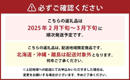 あまおう 約1140g 約285g×4パック いちごファームきらら 冷蔵【ふくおかエコ農産物認証】【2025年2月下旬から3月下旬発送予定】