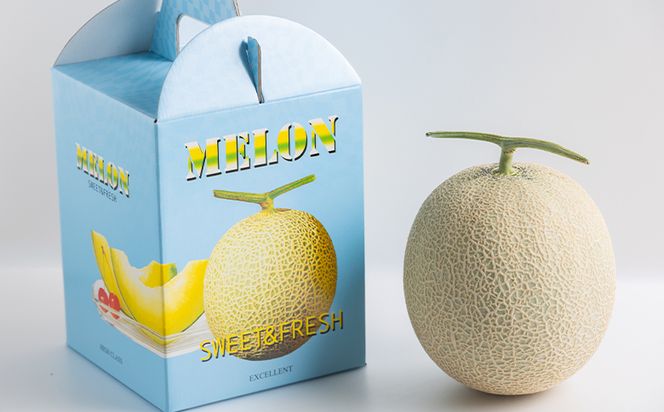 【令和8年3月発送開始】マスクメロン ２玉 家庭用 yr-0089