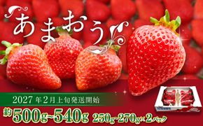 博多あまおう（春） 約250g～270g×2パック 計約500g～540g【2027年2月上旬-4月下旬発送予定】 いちご 苺 イチゴ 果物 フルーツ