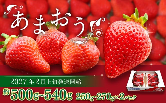 博多あまおう（春） 約250g～270g×2パック 計約500g～540g【2027年2月上旬-4月下旬発送予定】 いちご 苺 イチゴ 果物 フルーツ