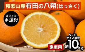 【先行予約】 有田の八朔（はっさく） 家庭用 約10kg S～4L サイズ混合 和歌山県産