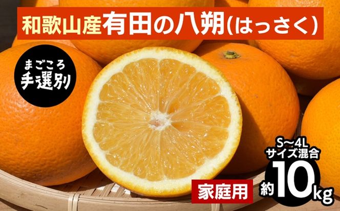 【先行予約】 有田の八朔（はっさく） 家庭用 約10kg S～4L サイズ混合 和歌山県産