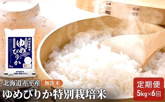 無洗米 北海道赤平産 ゆめぴりか 5kg 特別栽培米 【6回お届け】 米 北海道 定期便 ふるさと納税 