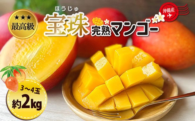 最高級マンゴー　宝珠２kg 【熱帯資源植物研究所】