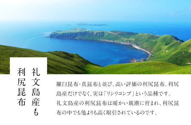 北海道礼文島産 利尻昆布 140g×3 魚貝類 こんぶ 海藻 のり 