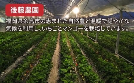 【先行予約受付中・2024年1月下旬より順次発送】【農家直送！】 糸島産 あまおう 280g × 4パック (GおよびSサイズ) 糸島市 / 後藤農園 [AML003] いちご 福岡 ランキング 上位 人気 おすすめ