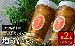 こだわりの塩うにセット(60g×2本)うに ウニ 雲丹 塩うに ミョウバン不使用 冷凍 海の直売所 大分県 佐伯市【AS162】【海べ】