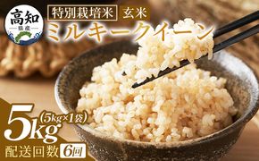 ミルキークイーン 玄米 ５ｋｇ 令和８年産 ６回 定期便 特別栽培米 定期便 国産 精米 米 お米 ご飯 ごはん おにぎり おむすび 炊き込みご飯 高知県 香南市 常温 Wsr-0012
