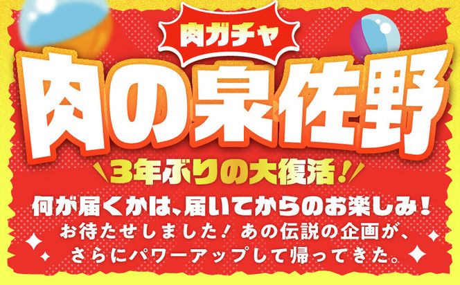 gacha014 【期間限定】肉の泉佐野 ガチャ（寄附10,000円コース）【牛肉 焼肉 牛タン ハラミ カルビ BBQ ハンバーグ お楽しみ】