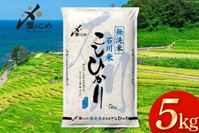 米 令和7年 無洗米 こしひかり 精米 5kg [中橋商事 石川県 宝達志水町 38601204] お米 白米 ごはん 美味しい コシヒカリ おこめ こめ 5キロ 石川 能登 むせんまい