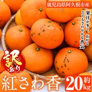 ＜先行予約受付中！2027年2月上旬以降順次発送予定＞訳あり 紅さわ香(約20kg) 国産 鹿児島県 阿久根市 果実 果物 フルーツ 柑橘 みかん ミカン 紅甘夏 期間限定 数量限定 【桐野柑橘株式会社】akn070-19