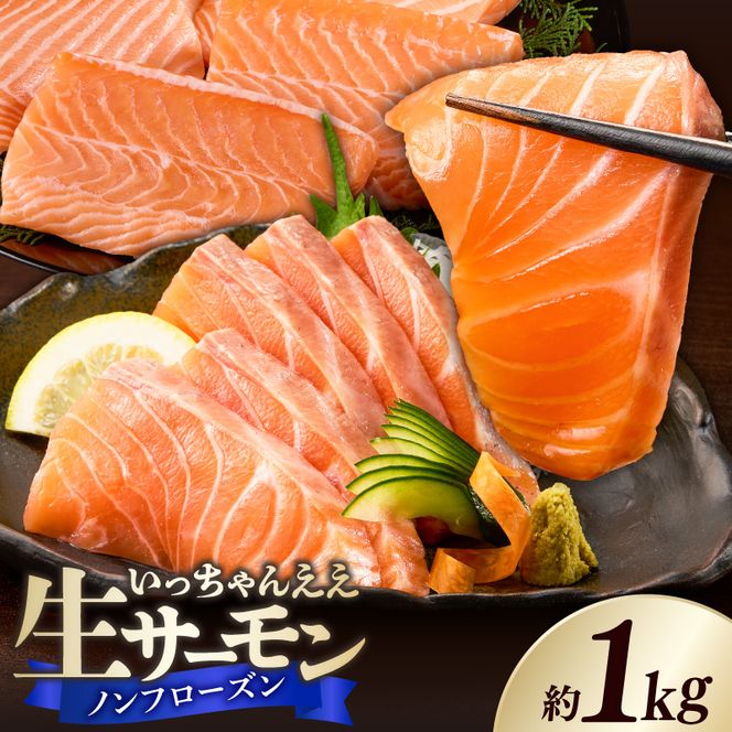 いっちゃんええ【ノンフローズン】生サーモン 全て手作業 約1kg_FJ1001
