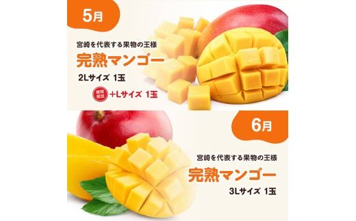 ※期間限定※【6ヶ月定期便】大人気くだもの定期便Vol.2【 川南町産 くだもの いちご イチゴ きんかん マンゴー シャインマスカット ピオーネ  】[C11713t6]