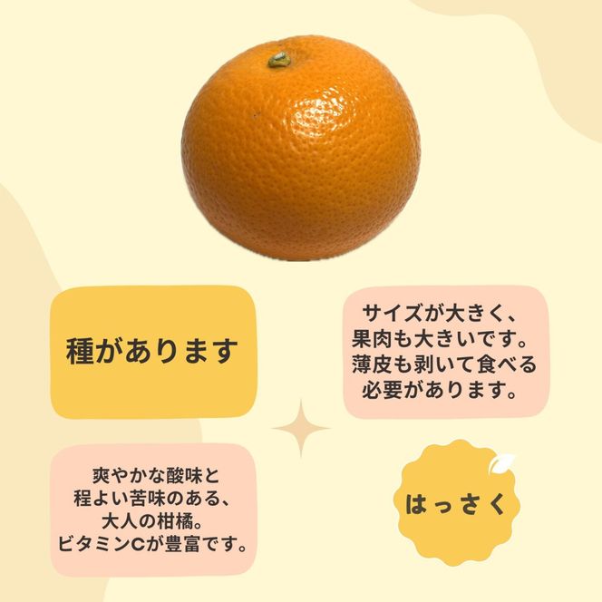 和歌山 有田 はっさく 5kg DJ065