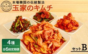 【全6回定期便】玉家 の キムチ セット B ( 白菜 / 葱 / 胡瓜 / 大根 )糸島市 / 玉家のキムチ工房【いとしまごころ】 [AAE012]