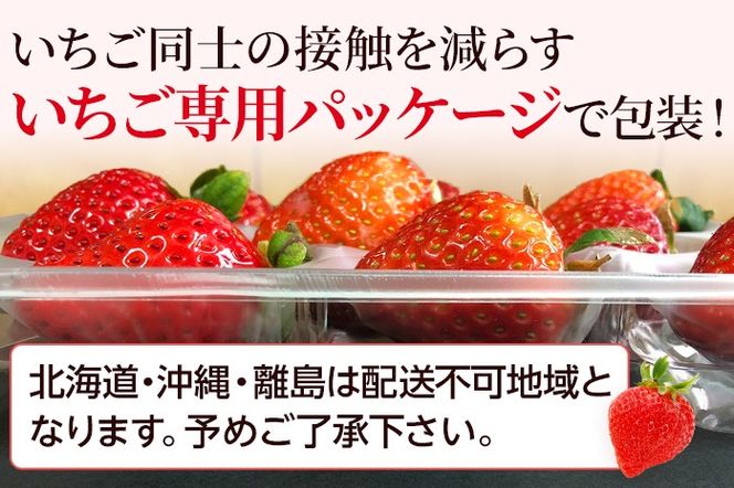 【先行受付】農家直送 朝採り新鮮いちご【博多あまおう】＜1月下旬より順次発送＞ 約270g×2パック 福岡県産 苺 イチゴ 朝採れ 冷蔵 スイーツ ジュース ギフト プレゼント お土産 九州 福岡土産 ※北海道・沖縄・離島は配送不可