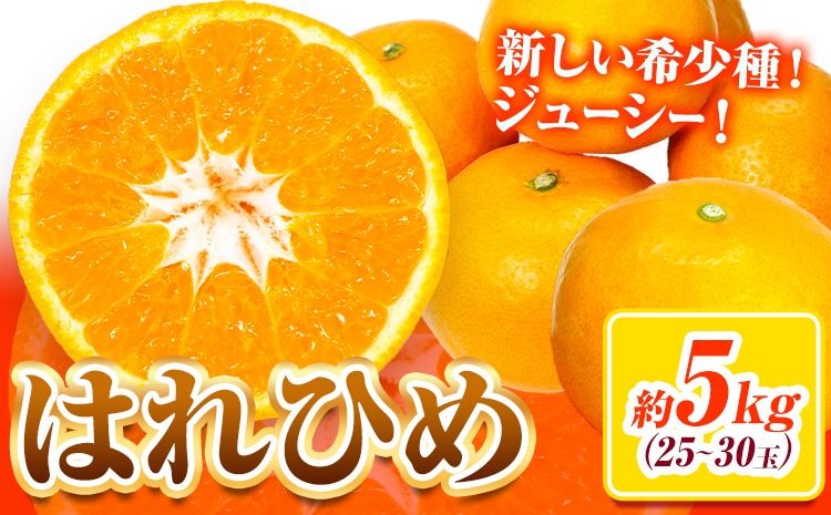 [先行予約]みかん はれひめ 約 5kg 25玉 〜 30玉 紀農人株式会社[2025年12月中旬-2月上旬頃出荷] 和歌山県 日高川町 果物 フルーツ 柑橘 蜜柑 柑橘類 旬---wshg_kgr6_12c2j_24_15000_5kg---