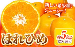 【先行予約】みかん はれひめ 約 5kg 25玉 ～ 30玉 紀農人株式会社《2026年12月中旬-1月末頃出荷》 和歌山県 日高川町 果物 フルーツ 柑橘 蜜柑 柑橘類 旬---wshg_kgr9_12c1m_25_15000_5kg---