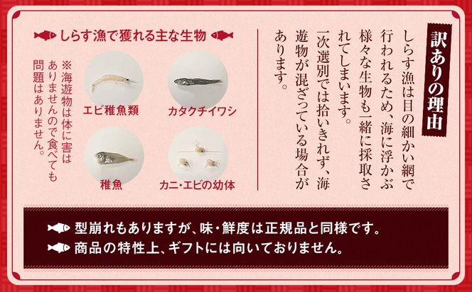 【容量が選べる】しらす 訳あり 1kg～2kg 釜揚げしらす シラス ごはん おかず チャーハン パスタ 料理 大きめ ランキング こだわり 鮮度 天塩 マル伊商店 愛知県 南知多町