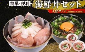 海鮮 海鮮丼 セット 冷凍 刺身用 天然 おまかせ 3種以上 3食分 小分け 簡単調理 時短 魚介 詰め合わせ 家庭用 高知県室戸市