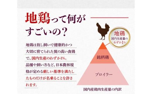 福岡限定！はかた地どり水炊き6種盛りセット　3～4人前　DX042