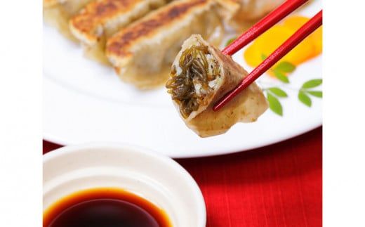 早摘みもずく（15袋）＆もずく餃子（12個入×14袋）セット【勝連漁業協同組合】