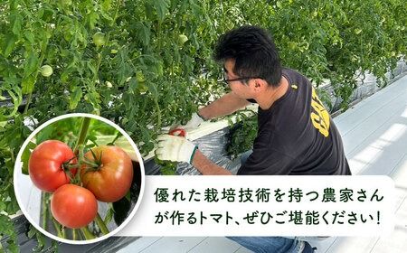 【全6回定期便】糸島産 絶品トマト かれん (4kg28玉前後) 糸島市 / シーブ 野菜 とまと[AHC067] トマト糸島市内の直産市場でもトップクラスの売り上げ！！