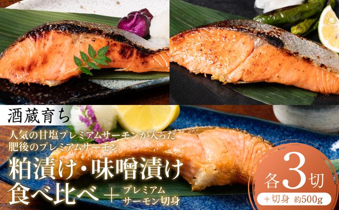 人気の甘塩プレミアムサーモン切身 約500g が入った 酒蔵育ち 肥後のプレミアムサーモン 食べ比べセット 粕漬け・味噌漬け 各3切入 サーモントラウト 銀鮭 酒粕漬け 酒粕 味噌漬け 赤酒 切身 切り身 和食 魚 おかず 熊本県 八代市