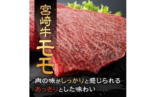 ※発送時期が選べる※宮崎牛 ステーキ 2種 600g 【 肉 牛肉 国産 宮崎県産 宮崎牛 黒毛和牛 和牛 ステーキ BBQ 4等級  A4ランク ロース モモ 】 [E11118]