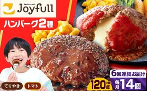【全6回定期便】ジョイフル ハンバーグ スペシャル 詰め合わせ 2種 14個 セット《築上町》【株式会社　ジョイフル】[ABAA076]