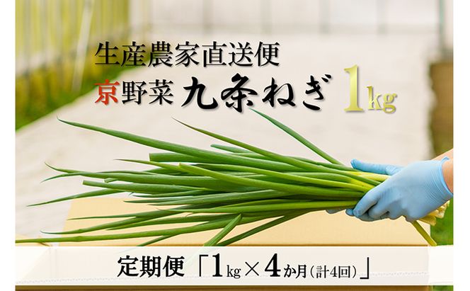 【4か月定期便】生産農家直送 京野菜・九条ねぎ1kg〈定期便 ねぎ ネギ 葱 九条ねぎ 京野菜 京都 新鮮 甘い 農家直送 野菜〉 4ヶ月 4回 