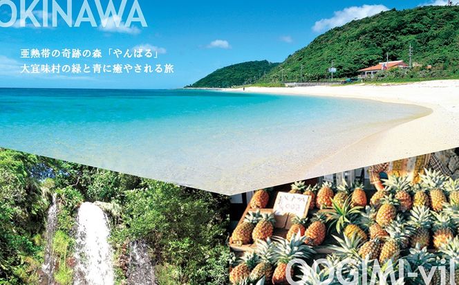 【旅行クーポン】沖縄長寿の里大宜味村 後から選べる旅行30万円分 沖縄 観光 旅行 やんばる 北部 グルメ ファミリー カップル アクティビティ 体験 トレッキング マングローブ カヌー マリンスポーツ ビーチ 海 滝 サイクリング ウェルネス リゾート