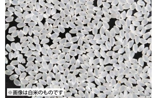米 南三陸町産 ひとめぼれ めぐりん米 玄米 2kg [南三陸さんさんマルシェ 宮城県 南三陸町] お米 ブランド米 ご飯 ごはん コメ こめ 小分け 家庭用 FAK-0012