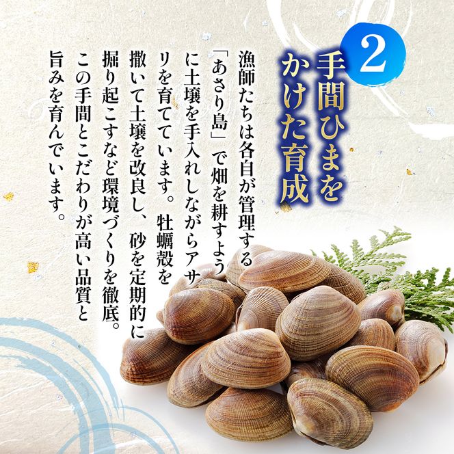 翌日配送 航空便 北海道 厚岸産 あさり 500g×2パック (合計1kg) 大中混合 アサリ 魚貝 海 美味しい 栄養 旨み 砂出し 水洗い 冷蔵 冷凍保存可能 便利