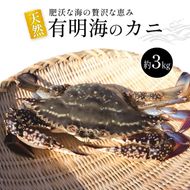BA061 天然の好漁場・肥沃な海の贅沢な恵み 有明海のカニ [ かに カニ 蟹 ワタリガニ 渡り蟹 ガネ 冷蔵 島原漁業協同組合 長崎県 島原市 ]