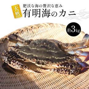 BA061 天然の好漁場・肥沃な海の贅沢な恵み 有明海のカニ [ かに カニ 蟹 ワタリガニ 渡り蟹 ガネ 冷蔵 島原漁業協同組合 長崎県 島原市 ]