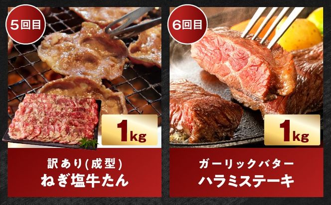 099Z575 わくわくお肉定期便 全6回 合計7kg【ハラミ 牛たん 豚トロ 焼肉 BBQ やきにく ファミリー 定期便】