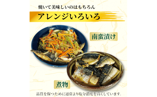 訳あり 塩サバ 約700g~約5kg 冷凍 大容量 鯖 塩 さば 塩鯖 塩さば 魚 海鮮 海産物 おかず ご飯 おすすめ ギフト 贈答 切り身 不揃い サバフィーレ 鯖フィーレ フィーレ 焼き魚 人気 愛知県 南知多町 【配送不可地域：離島】