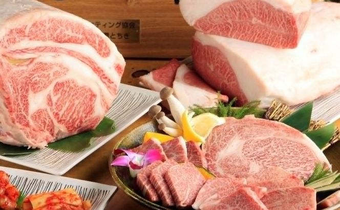 【墨田区ふるさと納税限定】 墨田区内で使える共通ご食事券 10000円分 対象74店舗 チケット 利用券 クーポン 共通 飲食店 墨田区 東京都 食事券 東京　