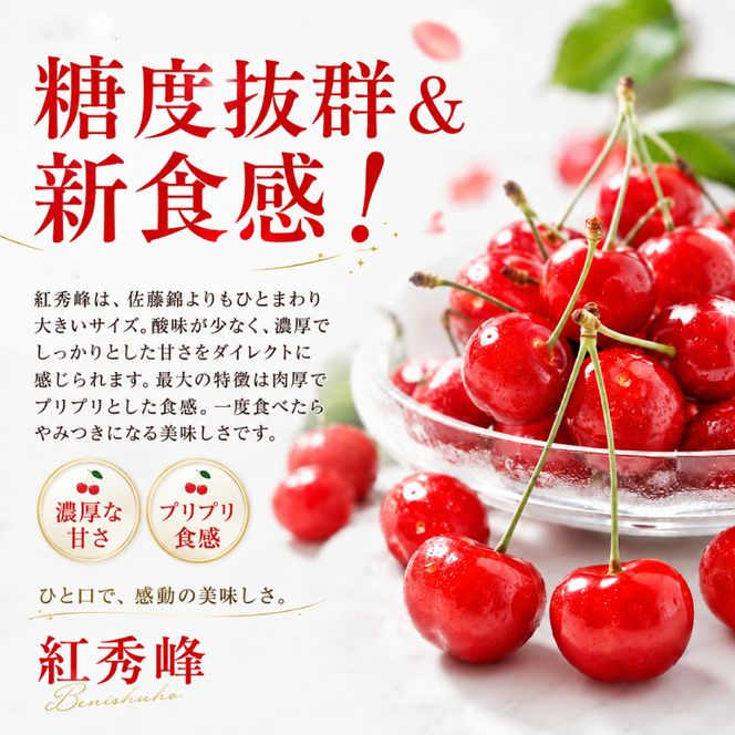 2027年発送 北海道 仁木町産 さくらんぼ 紅秀峰 600g(300g×2パック) Lサイズ以上 旬 桜桃 産地直送 サクランボ チェリー フルーツ 果物 果物類 仁木町 仁木 [松山商店]