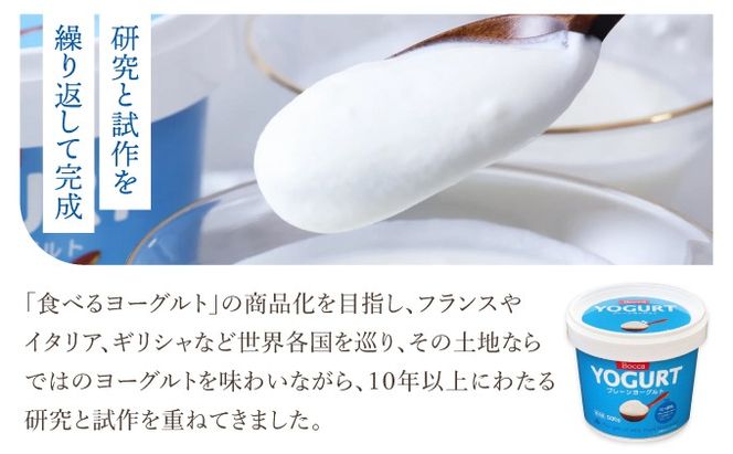 北海道 牧家 Bocca ヨーグルト 500g 6個 計3.0kg 生乳 ミルク 練乳 濃厚 デザート スイーツ おやつ 乳製品 冷蔵 