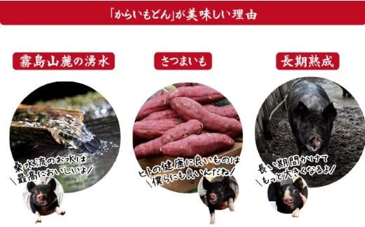 【牧場直送の新鮮黒豚】桑水流黒豚からいもどんスペアリブ食べ比べセット 計750g（豚肉 黒豚 豚 肉 お肉 スペアリブ 食べ比べ）
