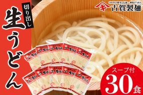 ふっくらモチモチ神埼生うどん 10袋入【麺 うどん 生うどん 釜揚げうどん】(H014145)