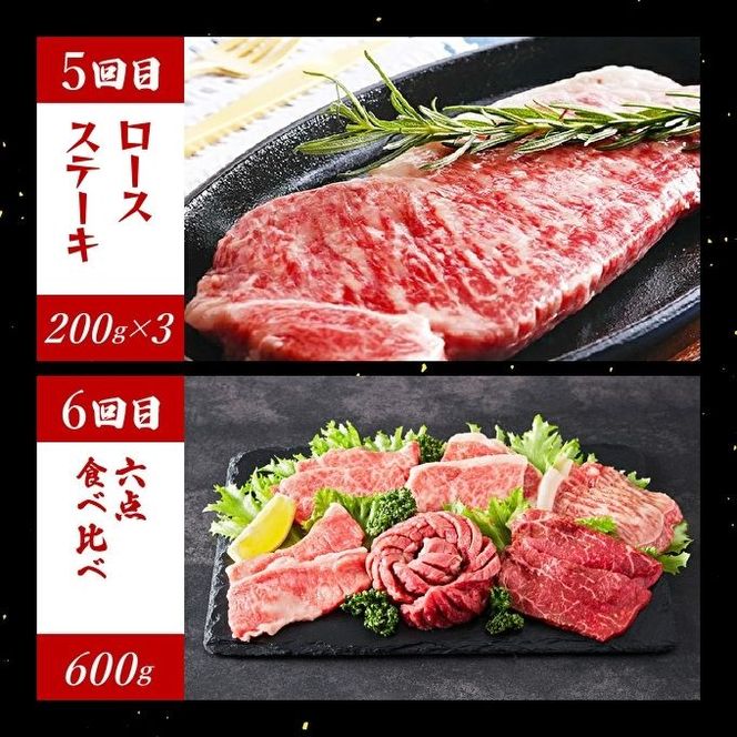 神戸牛 定期便 6ヶ月連続お届け 贅沢6種 すき焼き肉 赤身焼肉 切り落とし ロースステーキ 焼肉食べ比べ