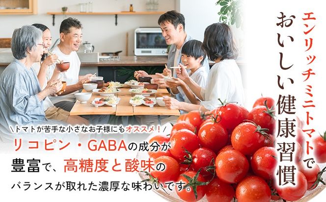 エンリッチミニトマトジュース　300ml×3本セット【28006BA0101】